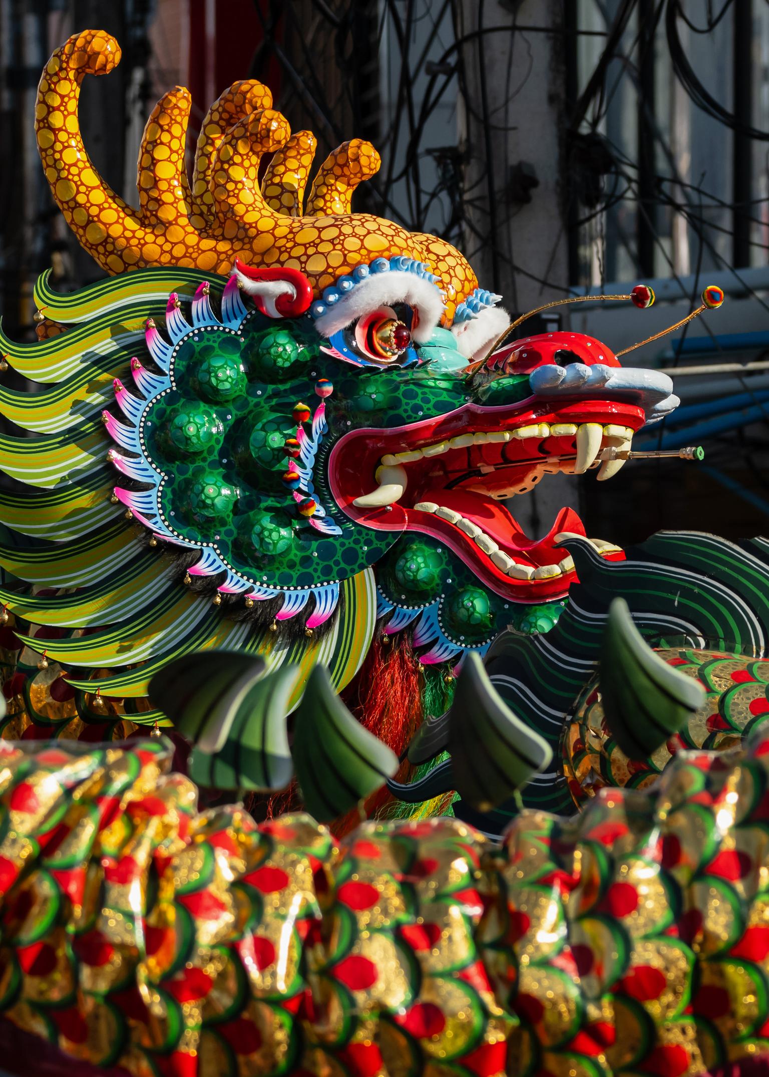 Bild von Chinesisches Neujahr – ein Fest mit globaler Auswirkung