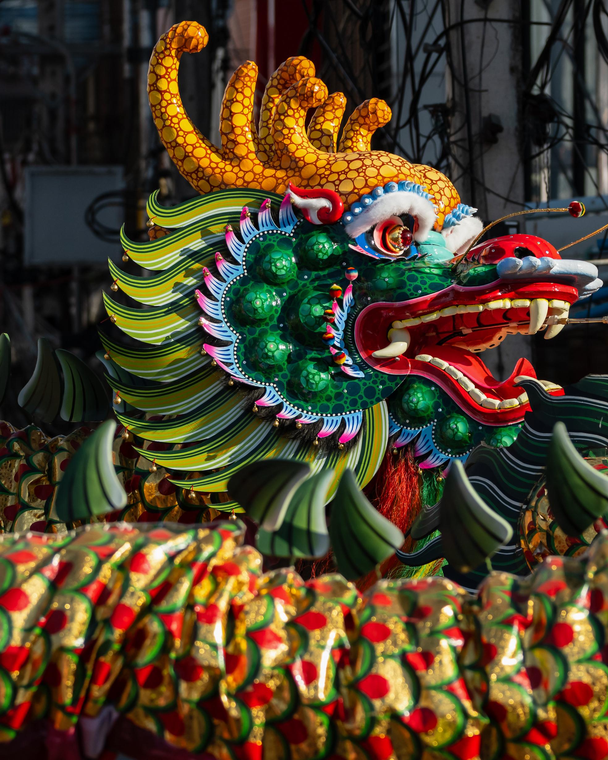 Bild von Chinesisches Neujahr – ein Fest mit globaler Auswirkung