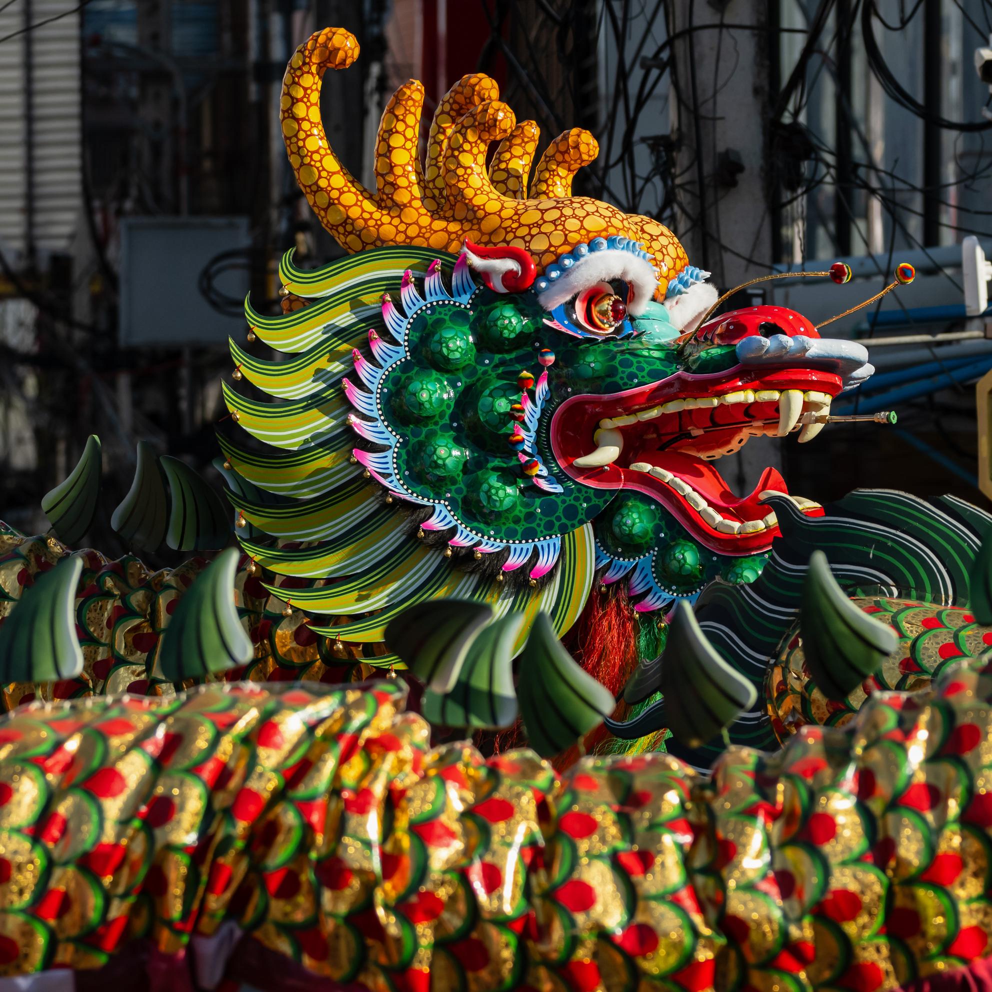 Bild von Chinesisches Neujahr – ein Fest mit globaler Auswirkung